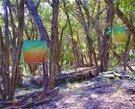 AUSTIN ART